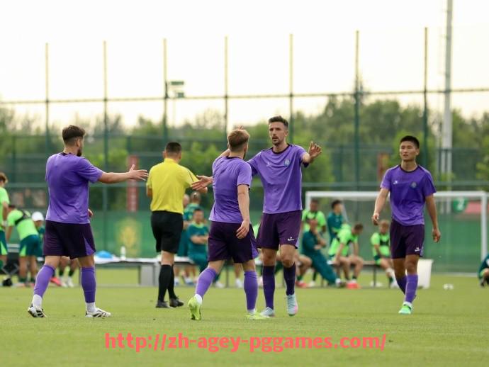 pg电子在线下载-法甲球队的竞技目标及赛季完成情况分析