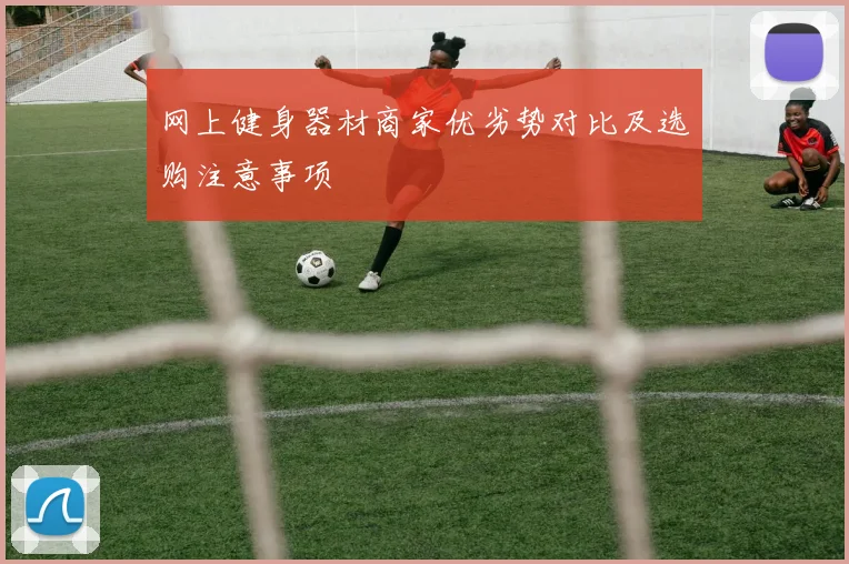 网上健身器材商家优劣势对比及选购注意事项