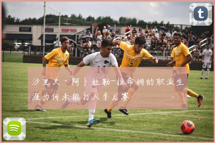 沙里夫·阿卜杜勒-拉希姆的职业生涯为何未能打入季后赛