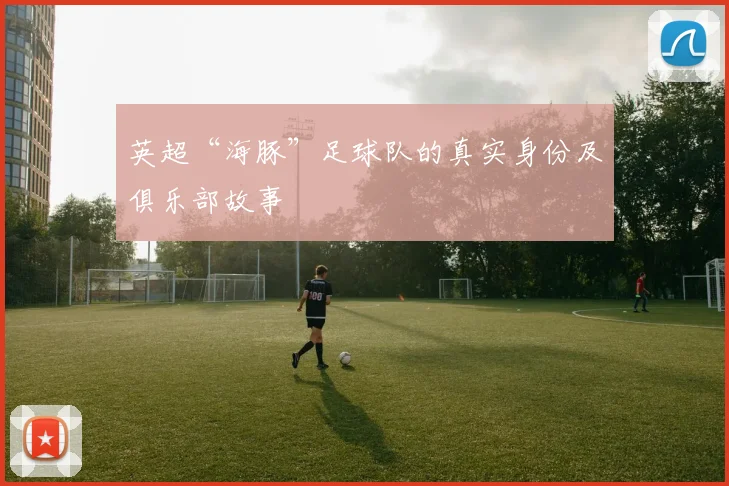 英超“海豚”足球队的真实身份及俱乐部故事