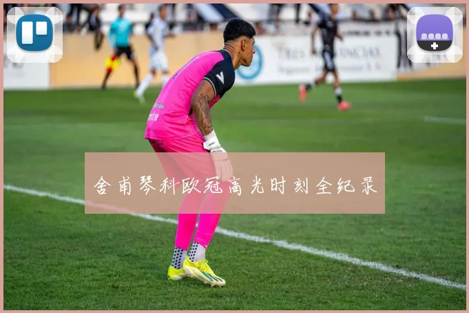 舍甫琴科欧冠高光时刻全纪录