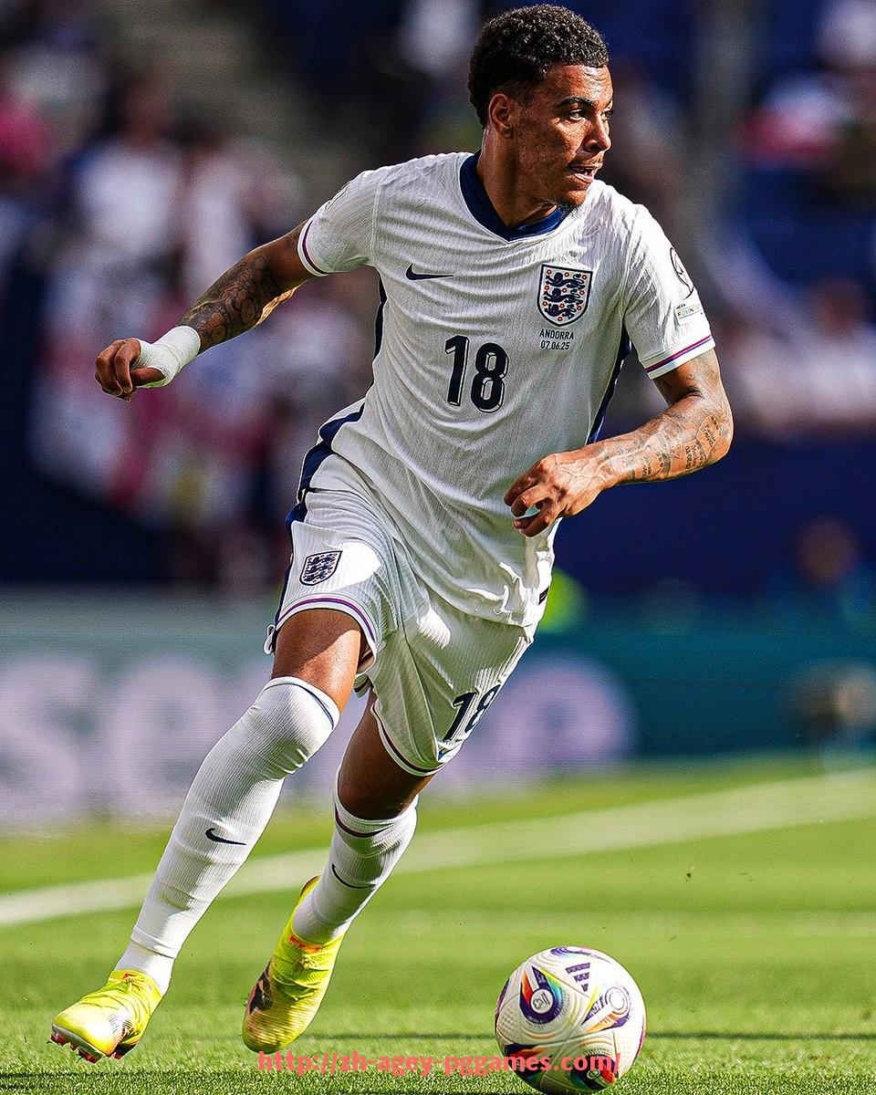 pg电子在线下载-英超所有球员数量及体育竞技影响力分析