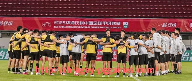 pg电子在线下载-世俱杯中场拦截成功率前十球员数据榜单及拦截风格解析